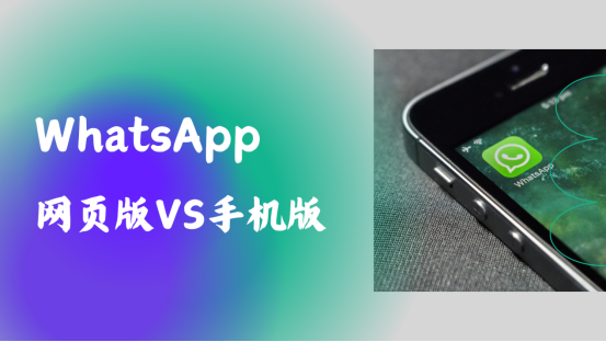 WhatsApp网页版VS手机版：功能差异与适用场景全对比|2025